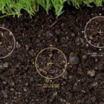 Home Soil Texture Test