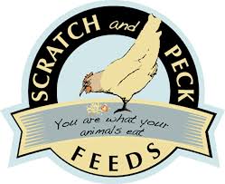 scratch and peck